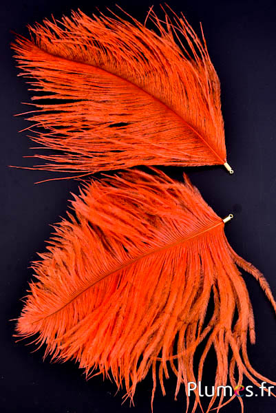 Pendentif tête d´autruche - 17-20 cm - orange sanguin